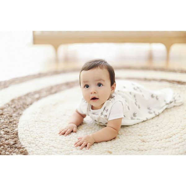 Ergobaby Klassisk Sovepose Elefanter Tog 1.0 Beige 0-6 Months
