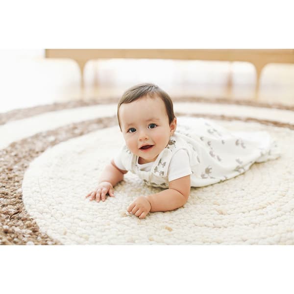 Ergobaby Klassisk Sovepose Elefanter Tog 1.0 Beige 0-6 Months