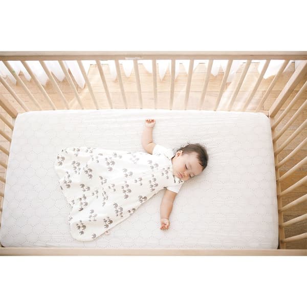 Ergobaby Klassisk Sovepose Elefanter Tog 1.0 Beige 0-6 Months