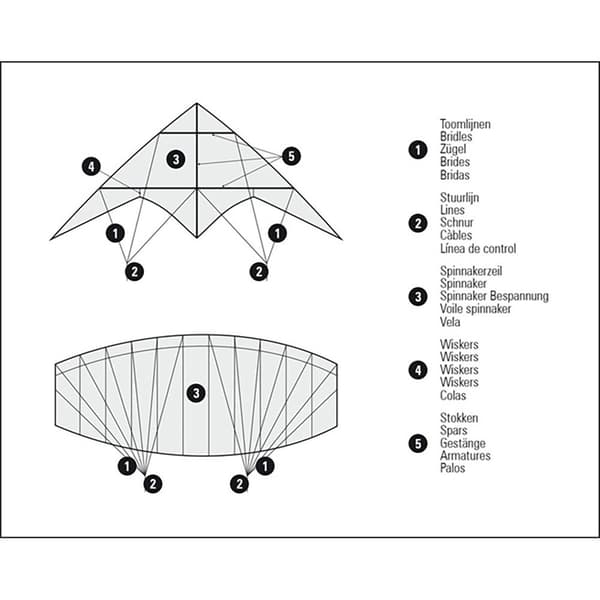Dragon Fly Stunt Kite Bise 115 Flerfärgad 115 x 50 cm
