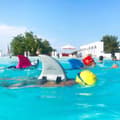 Pikkukuva 3 / 3: Swimfin Swimfloat Pinkki