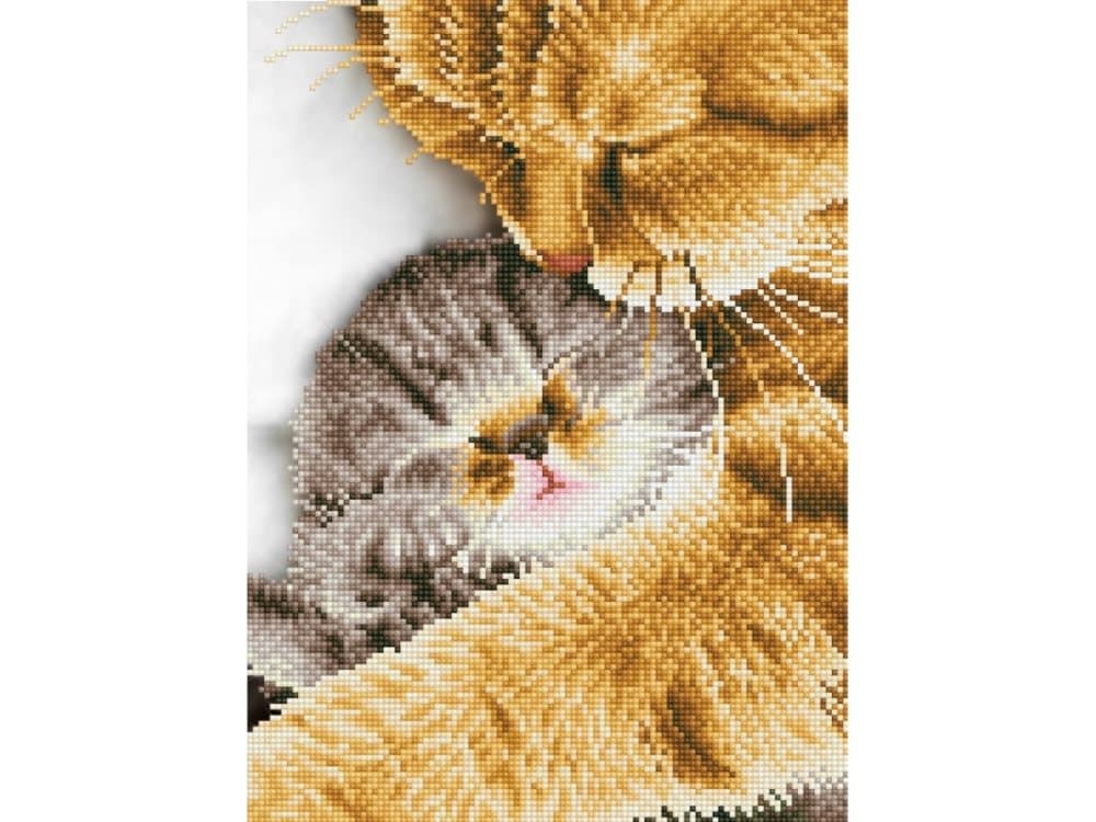 Diamond Dotz 36 x 46 cm - Katte