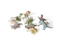 Miniatyrbild 4 av 5: Fascinerande Dinos