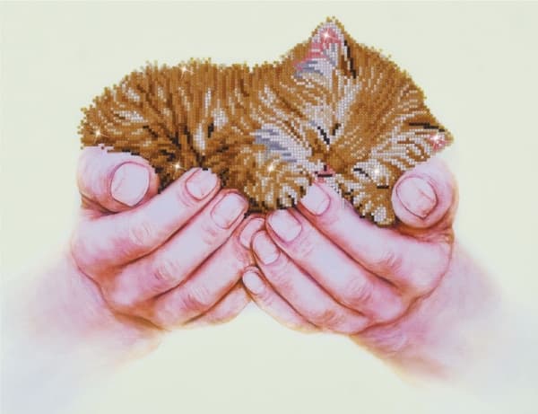 Diamond Dotz 52 x 40 cm - Kattekilling