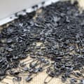 Miniatyrbillede 4 af 11: INF 22 mm sikkerhedsnåle, 1000 stk.