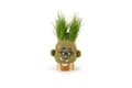 Miniatyrbillede 1 af 3: Hape Plant Pals Cheerful Charles