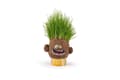 Miniatyrbild 1 av 3: Hape Plant Pals Happy Hank