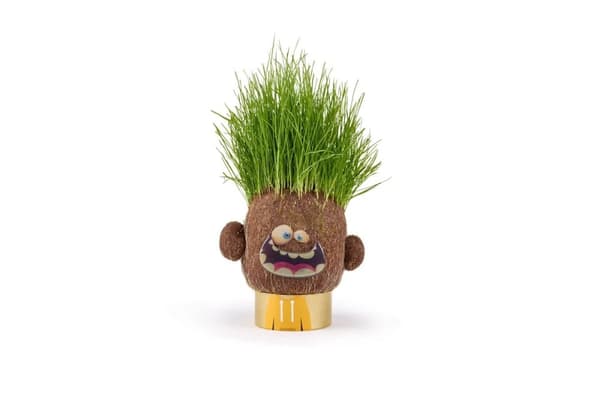 Hape Plant Pals Happy Hank