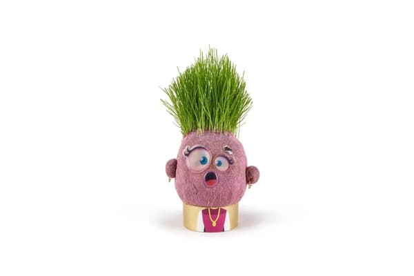 Hape Plant Pals Surprised Sandra