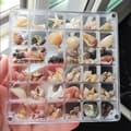 Miniatyrbillede 5 af 5: INF Stærk magnetisk dobbeltsidet prøveboks (64 rum)