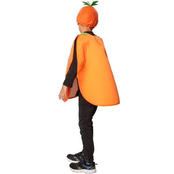 Cartoon græskar kostume