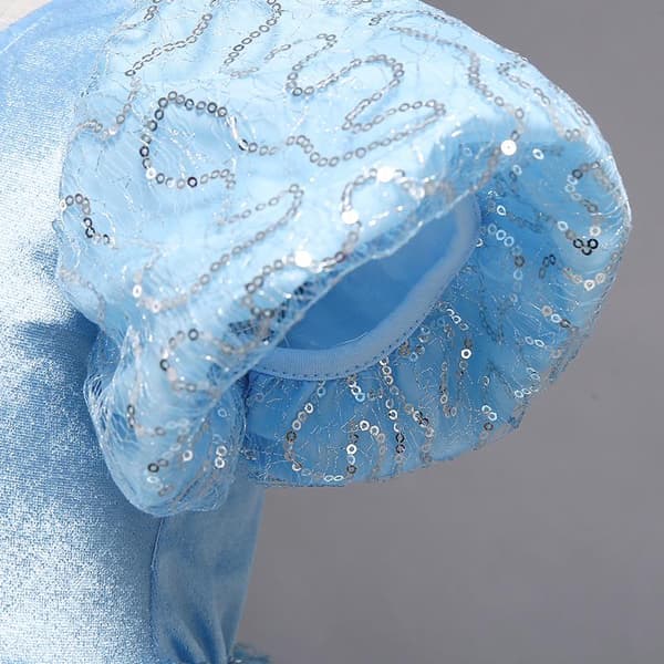 Prinsessklänning Blå Frost Elsa Askungen
