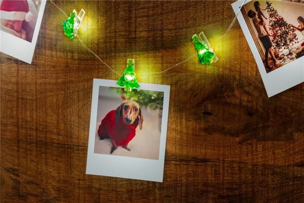 Goobay 10 LED fotoklip lyskæde "Juletræ" med timerfunktion, varm hvid (3000 K), batteridrevet
