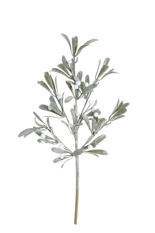 Kvist Cypress Bär 51 cm
