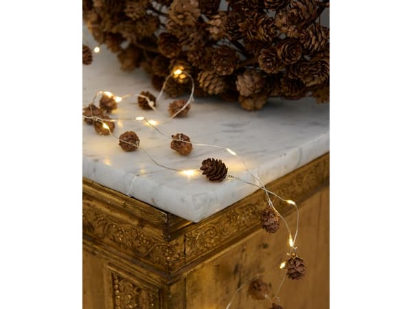 Sirius Molly Kogle Garland - Brun