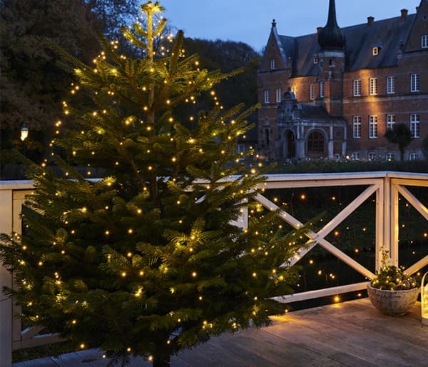 Sirius Knirke Juletræslys 195 LED - Klar/Grøn