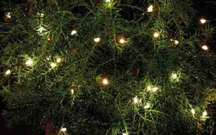 Sirius Knirke Ljuskedja 160 LED - Klar/Grön Grön, Transparent