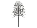 Pikkukuva 3 / 3: Sirius Noah Tree - 480 LED - Korkeus 2,2 metriä