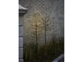 Pikkukuva 1 / 3: Sirius Noah Tree - 480 LED - Korkeus 2,2 metriä
