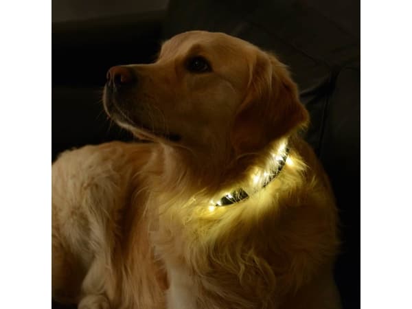 Sirius Lærke Hjertelyskæde - 20 LED