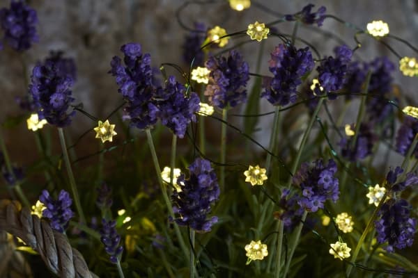 Sirius Silk Light Chain Mini Flowers - 40 LED - Kirkas/vihreä