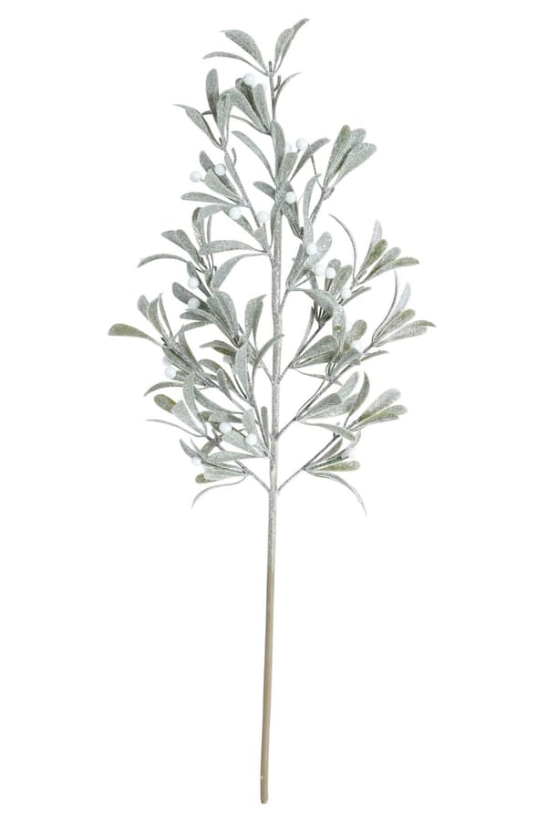 Kvist Cypress Bär 71 cm