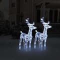 Pikkukuva 1 / 7: vidaXL Jouluporot 2 kpl kylmä valkoinen 80 LED-valoa akryyli