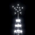 Miniatyrbild 4 av 7: Julgranskon 752 Kallvita Leds 160X500 Cm