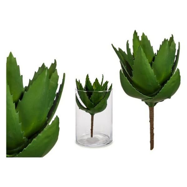 Dekorativ växt Ibergarden YD181153 Plast