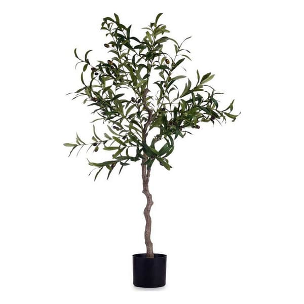 Dekorativ plante Ibergarden BRS-ADK101 Plastik Jernkabel Oliven