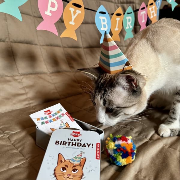 Happy Birthday Cat Tin Kikkerland