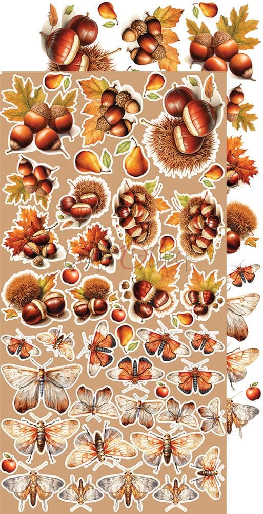 Paper Pack Extra Set - Craft O Clock - Autumnaria Flowers