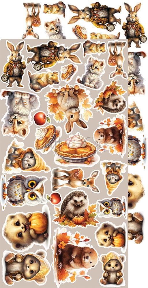 Paper Pack Extra Set - Craft O Clock - Autumnaria Autumn