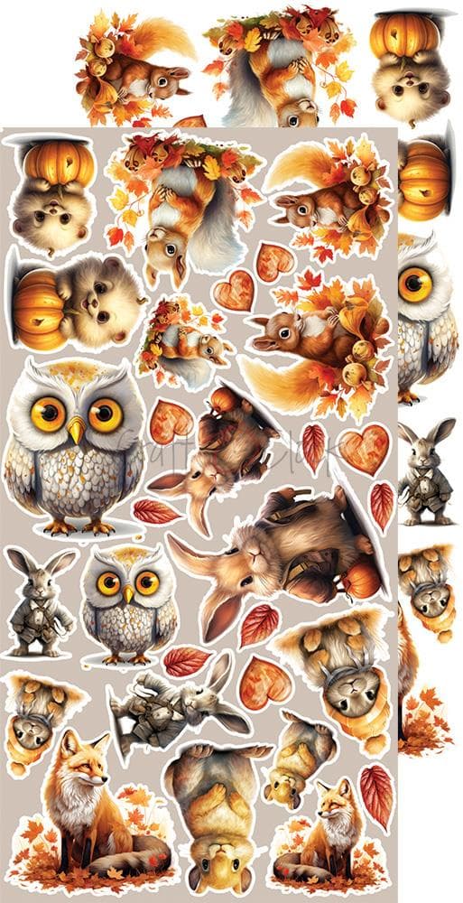 Paper Pack Extra Set - Craft O Clock - Autumnaria Autumn