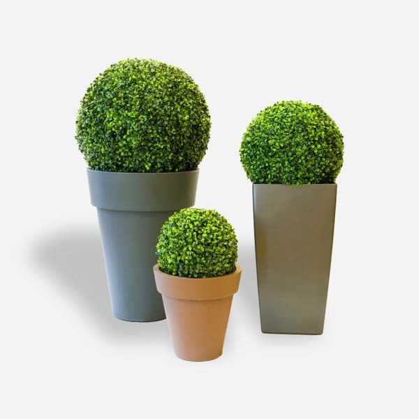 Buxbomboll, 30 cm