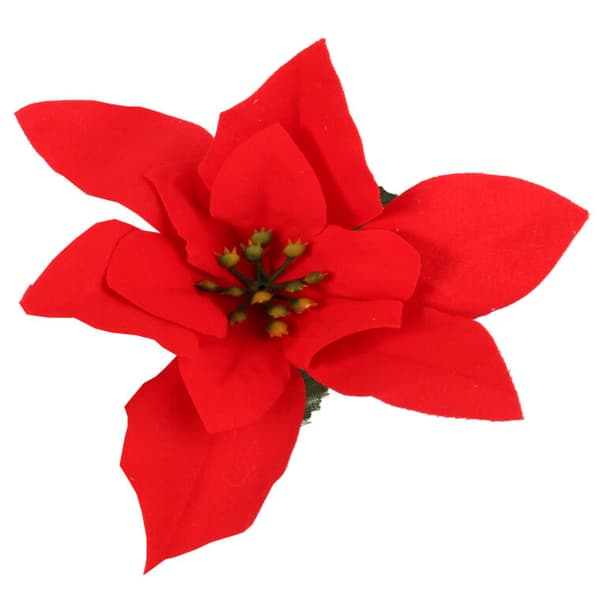 Enkeltblomst Bethlehemsstjerne julestjerne 30 cm