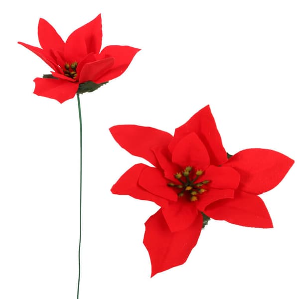 Enkeltblomst Bethlehemsstjerne julestjerne 30 cm