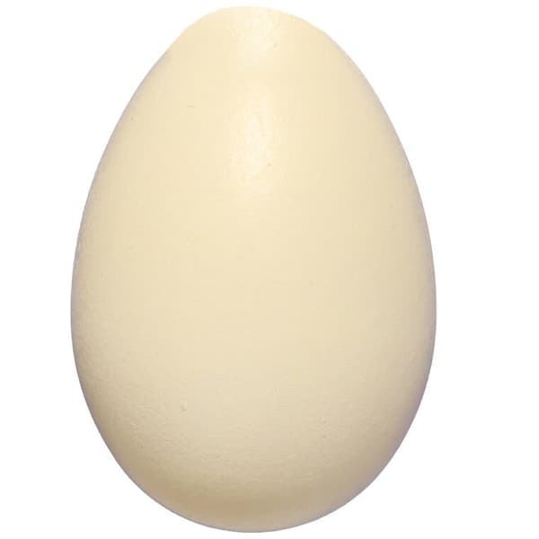 Pastelblæste påskeÆG 5 cm, 10 stk