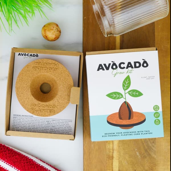 Odlingskit Avocado, Gift Republic Ltd.