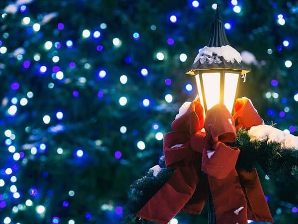 500 LED JULETRÆ LYS-snor til juletræ JULETRÆ UDEN/INDVENDIG