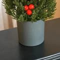 Pikkukuva 4 / 8: Rootzin joulukuusi - Pieni joulukuusi punaisilla marjoilla ja käpyillä - Sisältää istutuskoneen - Monivärinen - 27 cm x 27 cm x 47 cm