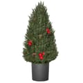 Pikkukuva 1 / 8: Rootzin joulukuusi - Pieni joulukuusi punaisilla marjoilla ja käpyillä - Sisältää istutuskoneen - Monivärinen - 27 cm x 27 cm x 47 cm