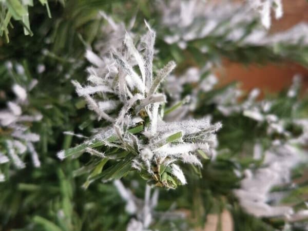Liten Julgran med Träfot – 50 cm – Juldekoration