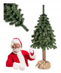 Miniatyrbild 1 av 5: Grön julgran i en jutepåse på en 180 cm stam