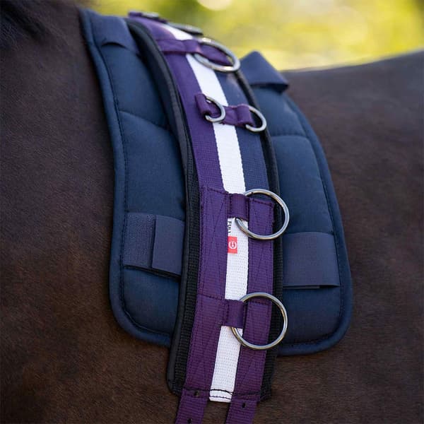 Imperial Riding Deluxe Extra Anfallsgjord  Cob