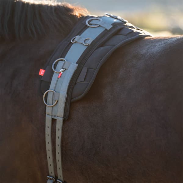 Imperial Riding Deluxe Extra Angrebsgjord  Cob