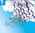 Miniatyrbild 7 av 9: Rotary Mop Vileda TURBO 3in1 mikrofiber 4023103227446 Svart, Röd