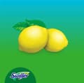 Miniatyrbilde 9 av 9: Swiffer Wet Refiller 12-pakning, sitron