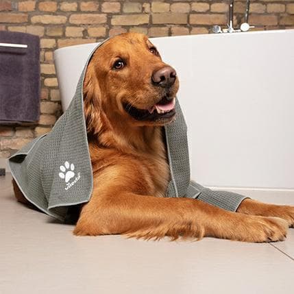 Vileda Pet Pro mikrofiberhandduk XL 60x100cm 172651..