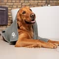 Miniatyrbild 7 av 11: Vileda Pet Pro mikrofiberhandduk XL 60x100cm 172651..